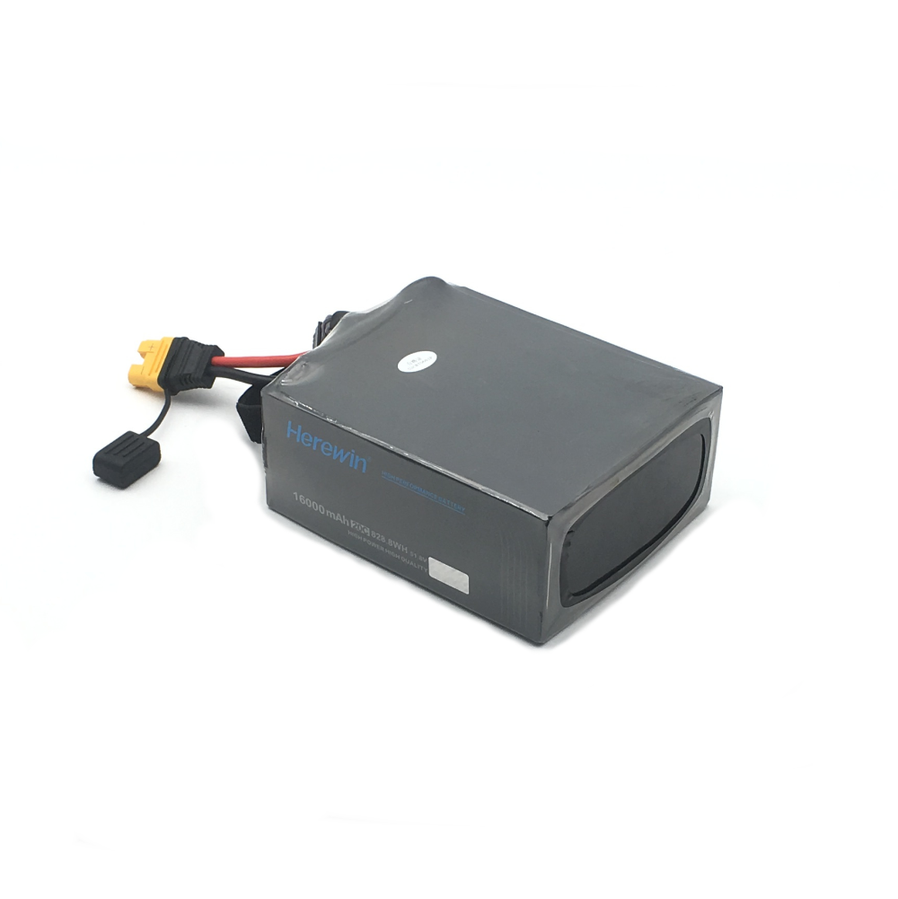 12S Battery