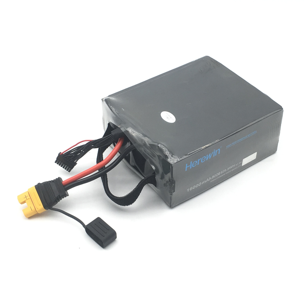12S Battery